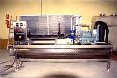 rascador1